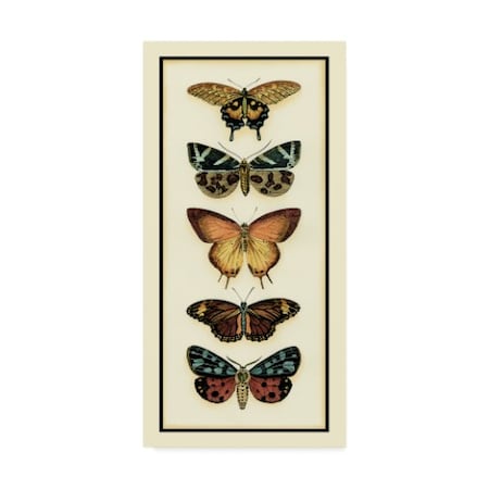 Chariklia Zarris 'Butterfly Collector V' Canvas Art,12x24